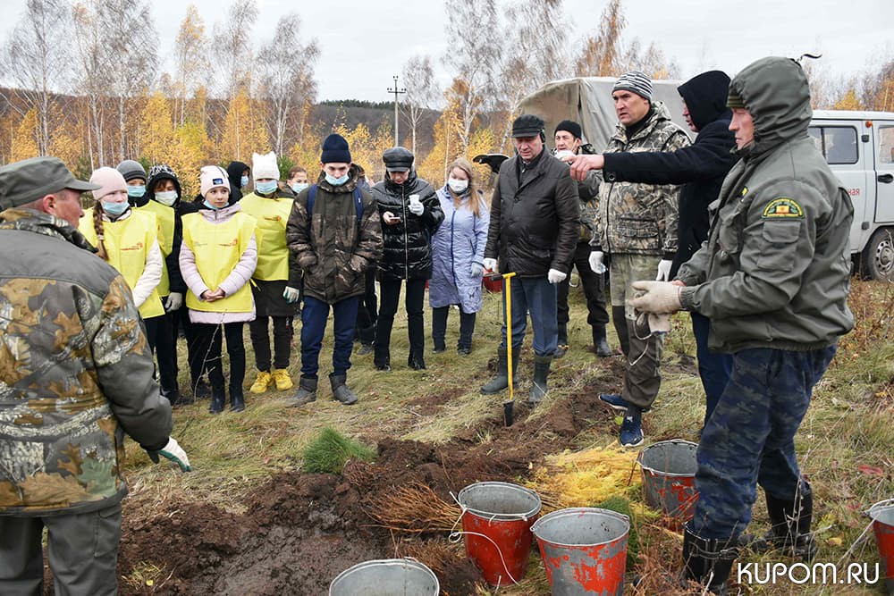 Эмир Бедертдинов: «Лес – это не только наше богатство, но и защита»