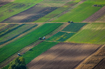В России началась работа по созданию федеральной карты-схемы земель сельхозназначения