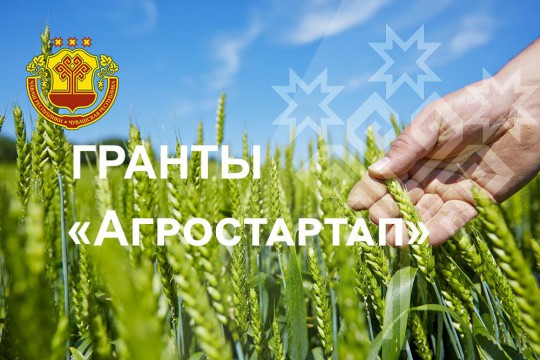 35 начинающих фермеров Чувашии стали обладателями грантов "Агростартап"