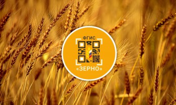 ФГИС «Зерно» заработает уже в этом году