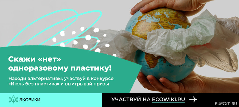 Россиянам предлагают присоединиться к челленджу «Июль без пластика»