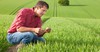 Пакетное предложение «Агроном Онлайн» доступно сельхозпредприятиям любого масштаба по всей России