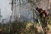 Пожар на территории природного заповедника "Присурский" на контроле