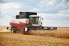 В хозяйствах республики намолочено более 400 тыс. тонн зерна