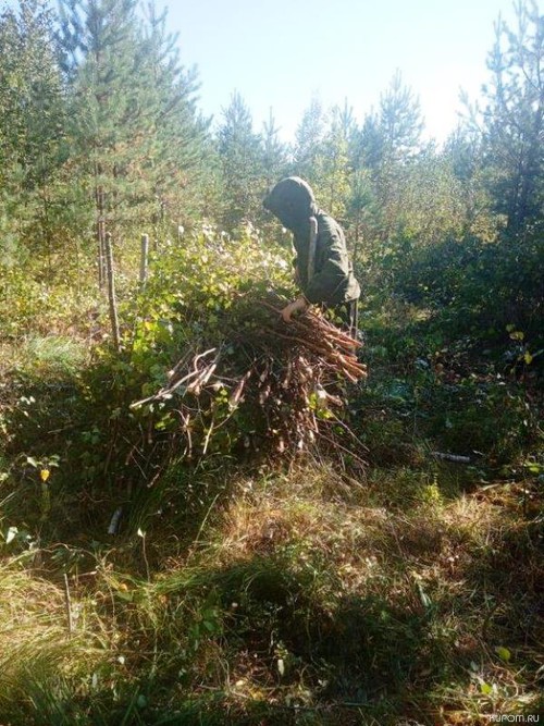 В Шемуршинском лесничестве выполнено 64% от объема доведенного государственного задания по отводу и таксации лесосек