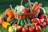 В БУ «Яльчикский ЦСОН» Минтруда Чувашии организована благотворительная акция по сбору овощей «Поделись богатым урожаем»