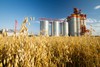 Росатом помогает внедрить бережливое производство в агропромышленный комплекс Чувашии