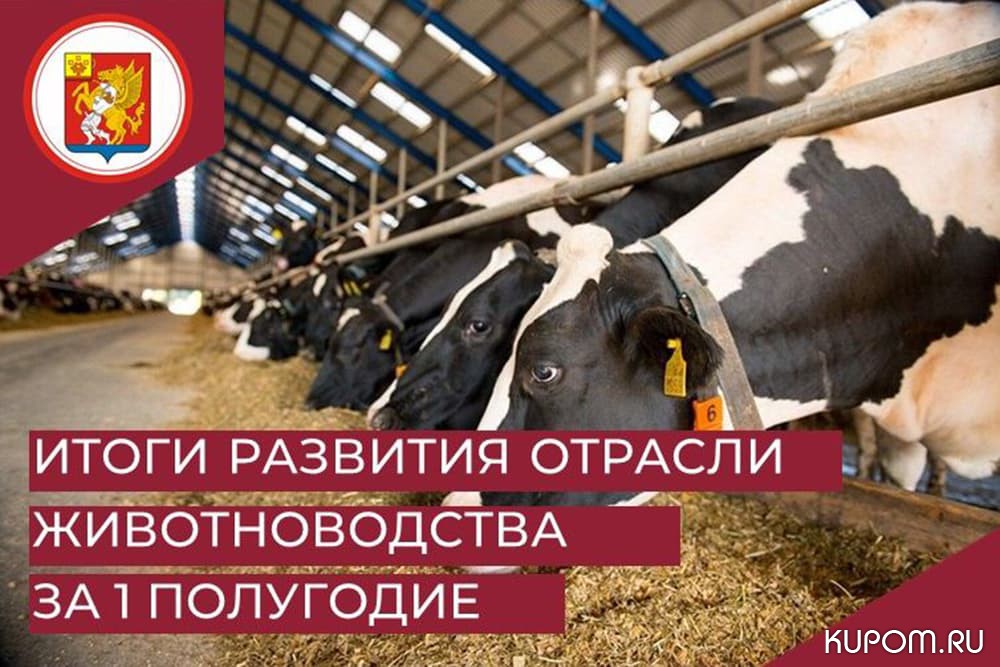 Итоги животноводческой отрасли Красночетайского района в первом полугодии 2022 года