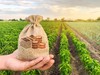 В 2021 году чувашские аграрии получили 1,1 млрд руб. господдержки на условиях софинансирования