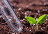 Минюст России зарегистрировал обновленную методику исчисления вреда почвам