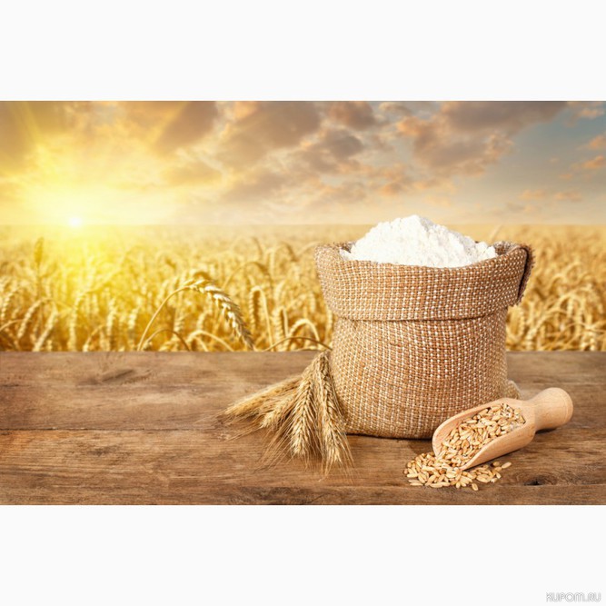 Вывоз зерна и сахара за пределы страны запрещен
