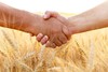 «Несвязанная» поддержка доведена до аграриев Чувашии в полном объеме