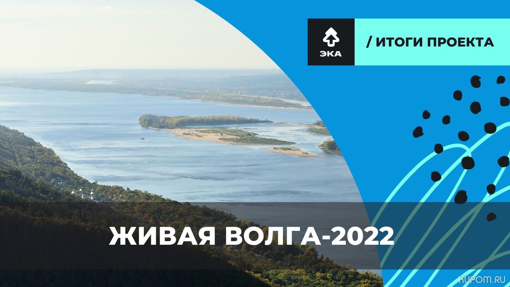 В проекте «Живая Волга» приняли участие более 13000 россиян