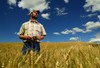 В Чувашии вдвое увеличилось количество фермеров – грантополучателей