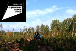 На землях лесного фонда Чувашской Республики продолжаются работы по подготовке почвы под лесные культуры будущего года